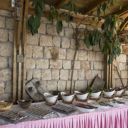 Hotel Medusa 3*