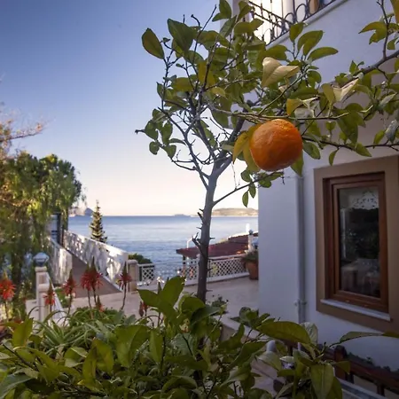 Hotel Medusa 3*