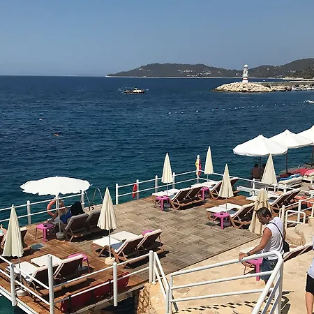 Hotel Medusa