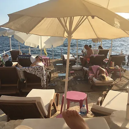 ميدوسا 3*