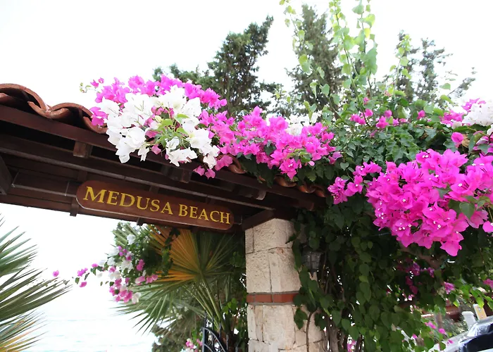 Medusa Hotel
