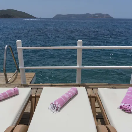 Medusa Ξενοδοχείο 3*